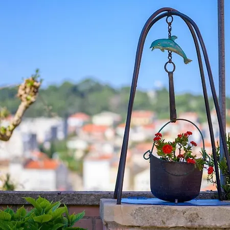 Delfin Mali Lošinj
