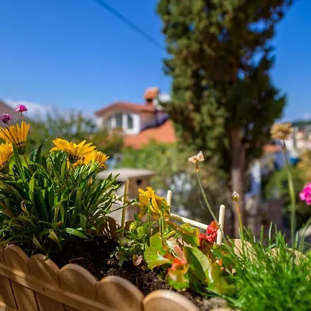 Delfin Guest house Mali Losinj