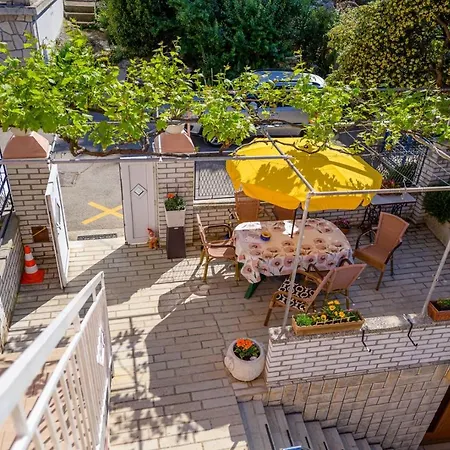 Delfin Guest house 4*