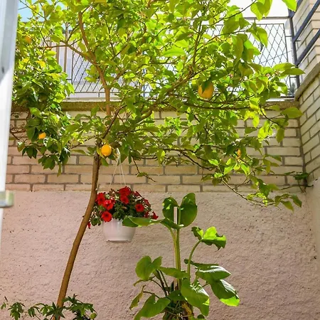 Delfin Guest house Mali Losinj