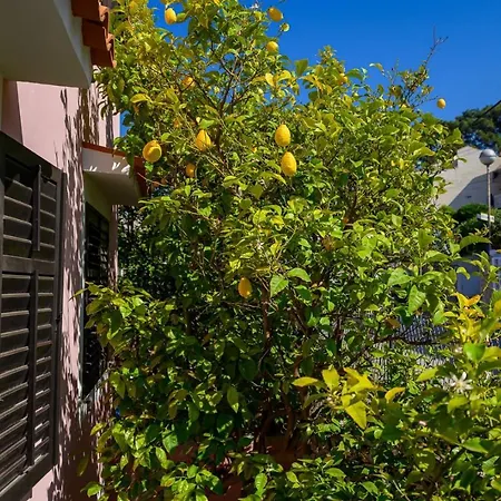 Guest house Delfin 4*