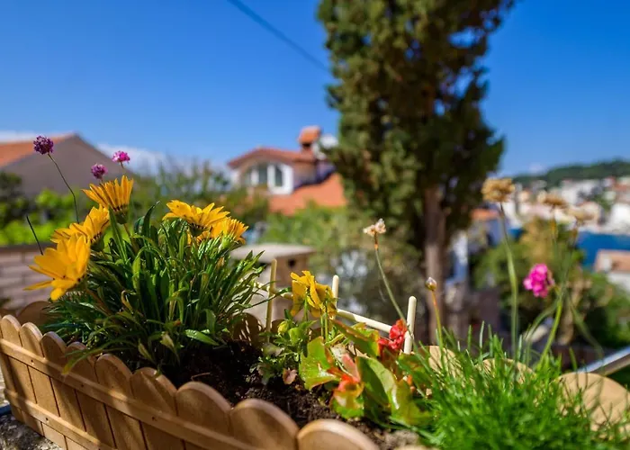 Delfin 게스트하우스 말리로시니